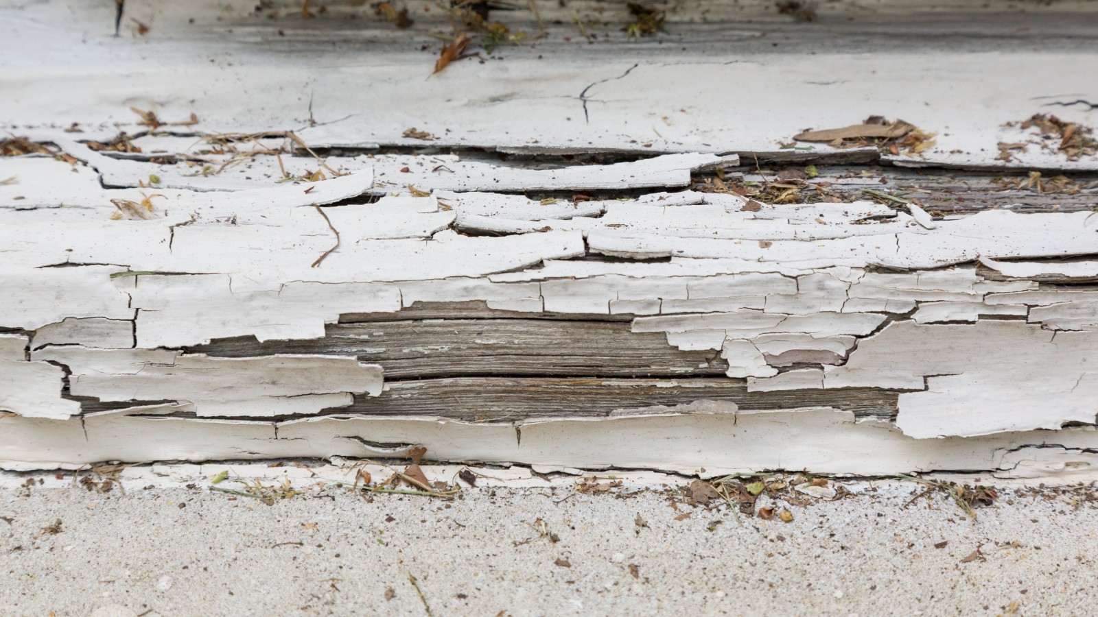 Old white paint cracked and flaking off weathered wood boards, with paint chips on the ground below