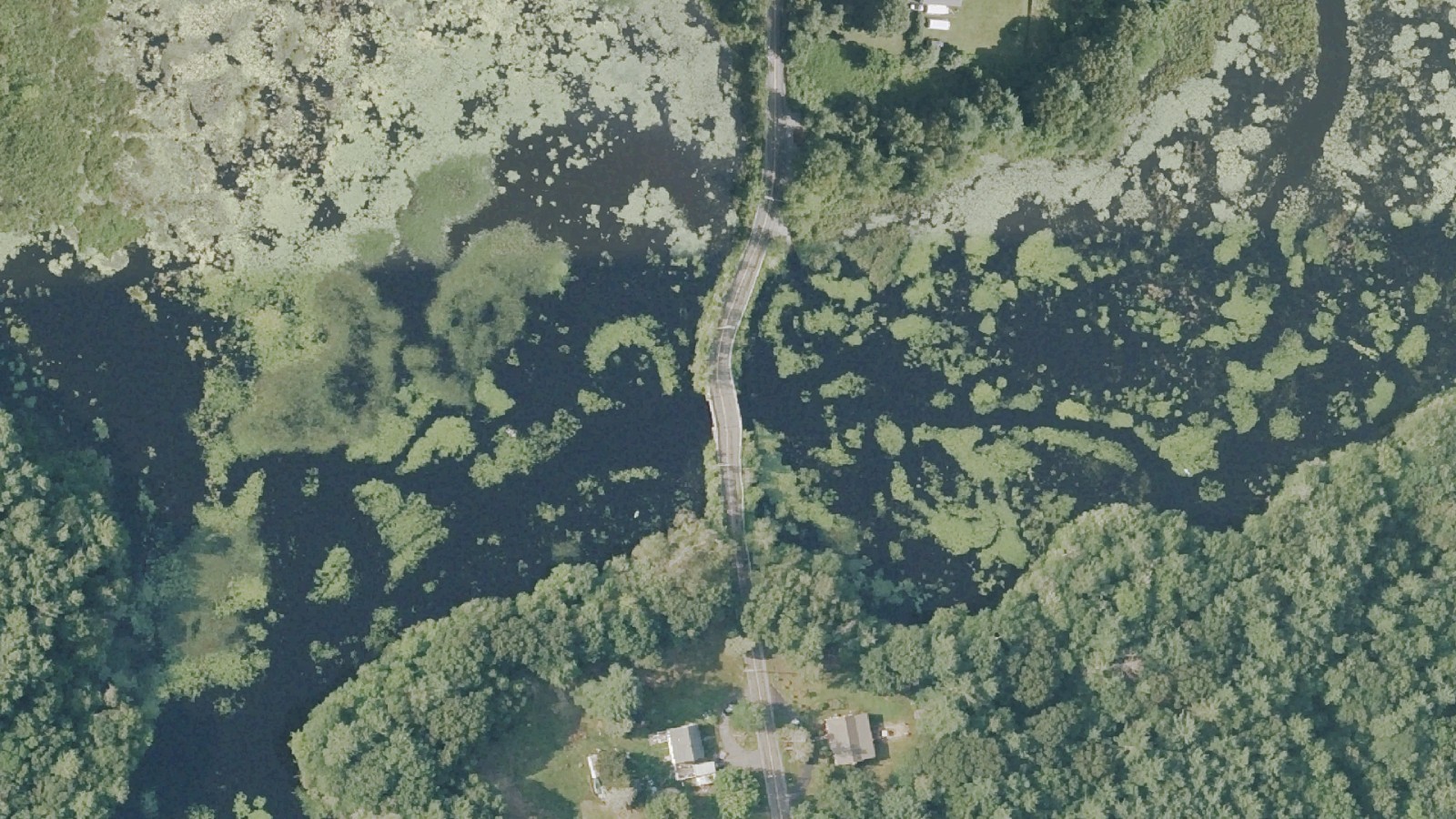 Aerial view of Scadding Street in Taunton crossing a stretch of the Snake River on a narrow bridge, with lily pads and open water on both sides and woods and houses along the road to the south